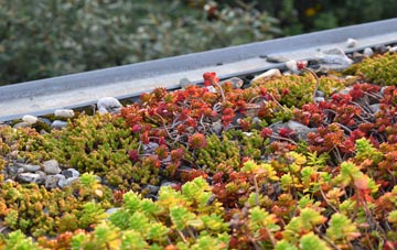 the cost of Biddulph Moor green roof installation