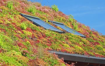 Biddulph Moor living roof systems